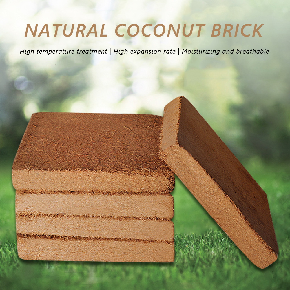 Coco Coir Block - Blok Serat Organik Universal dari Tempurung