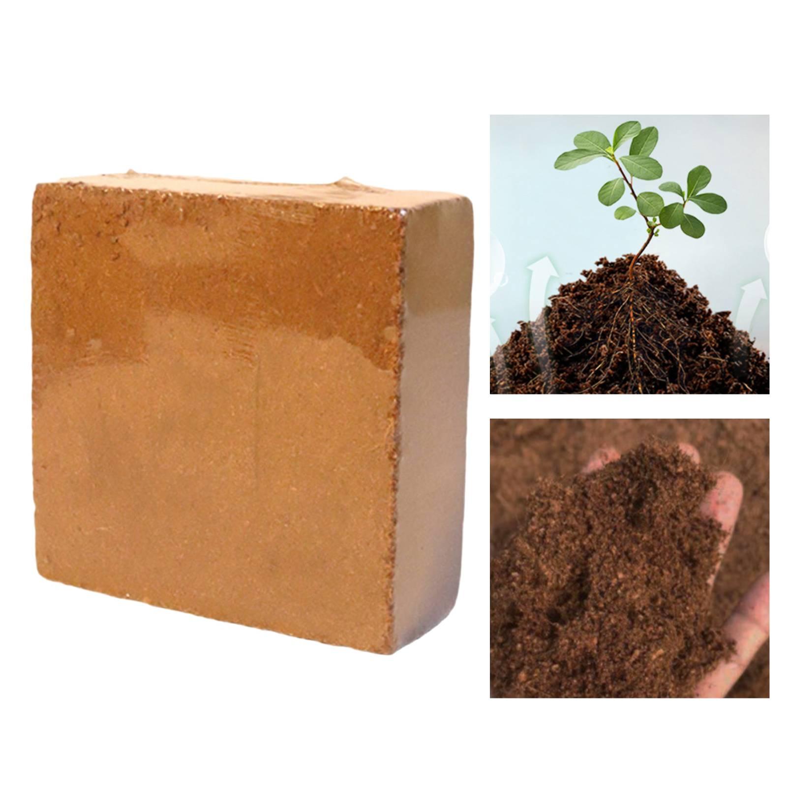 Batu Bata Kompres Serbuk Kelap - Coco Coir Block ulasan dan harga